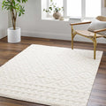 Hauteloom Tilos Moroccan Farmhouse Living Room Bedroom Nursery Shag Area Rug - Shaggy Carpet - Trellis Pattern - High Plush Pile - Cream, Pink, Beige - 5'3" x 7'