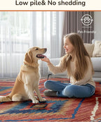 Area Rug 2x6 Rug Machine Washable Non-Slip Low Pile Print Pattern Western Rug for Living Room Bedroom Entryway Tribal Series -Red/Orange
