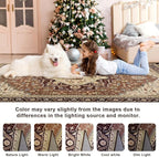 4x6 Mousse Brown Area Rug for Living Room, Machine Washable Rugs with Non-Slip Backing for Bedroom, Vintage Medallion Carpet Kitchen Laundry Kids Room Decor