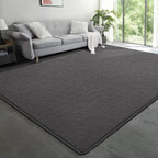 Modern Large Area Rug for Bedroom Living Room, 4x6 Feet Dark Grey Thickened Memory Foam Washable Rugs, Non-Slip Soft Minimalist Solid Indoor Carpets for Boys Girls Nursery Room Décor