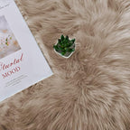 Latepis Brown Beige 2x5 Washable Small Rug Faux Sheepskin Fur Rug Fluffy Shag Rugs for Living Room Bedroom Dorm Furry Plush Rugs Cute Room Decor