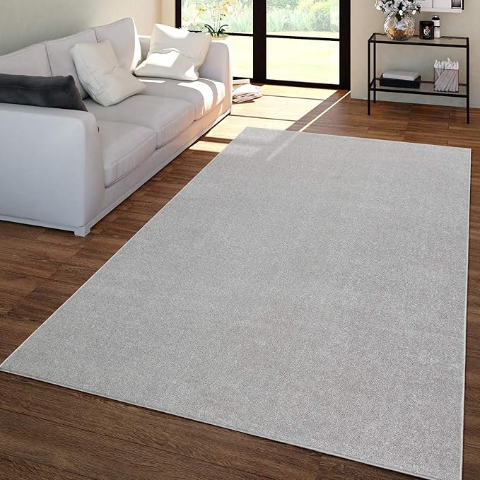Paco Home Solid Area Rug in Silver Modern Plain Design, Size: 2'8" x 4'11"