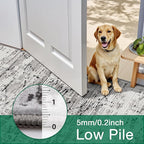 LUMI Washable Area Rug 5x8 for Living Room, Ultra Soft Stain Resistant Carpet with Non Slip Rubber Backing, Non-Shedding Low Pile Rugs for Bedroom, Dining Room, Indoor, Office
