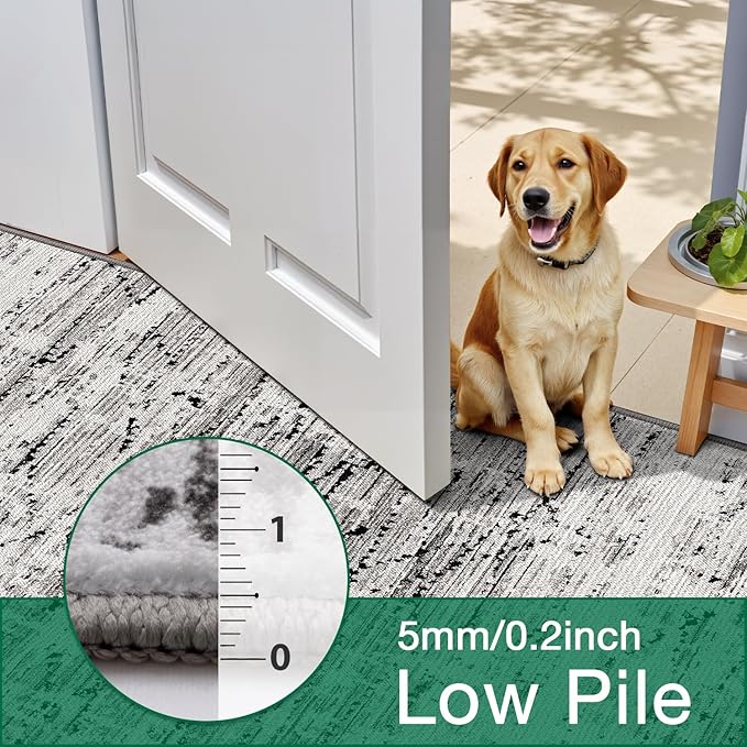 LUMI Washable Area Rug 5x8 for Living Room, Ultra Soft Stain Resistant Carpet with Non Slip Rubber Backing, Non-Shedding Low Pile Rugs for Bedroom, Dining Room, Indoor, Office