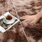 Shag Area Rug, 4 X 6 Tie-Dyed Plush Fuzzy Rugs for Living Room, Ultra Soft Fluffy Furry Rug for Bedroom, Indoor Carpet Nursery Rugs for Kids Room Home Decor, Coffee