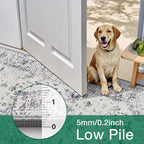 LUMI Washable Area Rug for Living Room, 10x14 Ultra Soft Traditional Rugs Non Slip with Rubber Backing, Low Profile, High Traffic, Stain Resistant Carpets, Ideal for Bedroom, Dining Room, Indoor