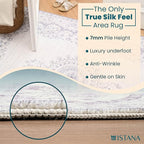 Istana Rug 3x5 - Grey/White Cream Area Rug 3x5 - Pet Friendly Washable Rug - Non Shedding Soft Rugs for Living Room - Eco-Friendly Foldable Dining Room Table Rugs