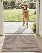DEXI Front Entryway Door Mat Non Slip 17x30, Washable Entry Way Mats Inside Entrance Low Profile, Welcome Doormat Dirt Trapper for House Floor Home Porter Hall Backdoor Area, Light Taupe