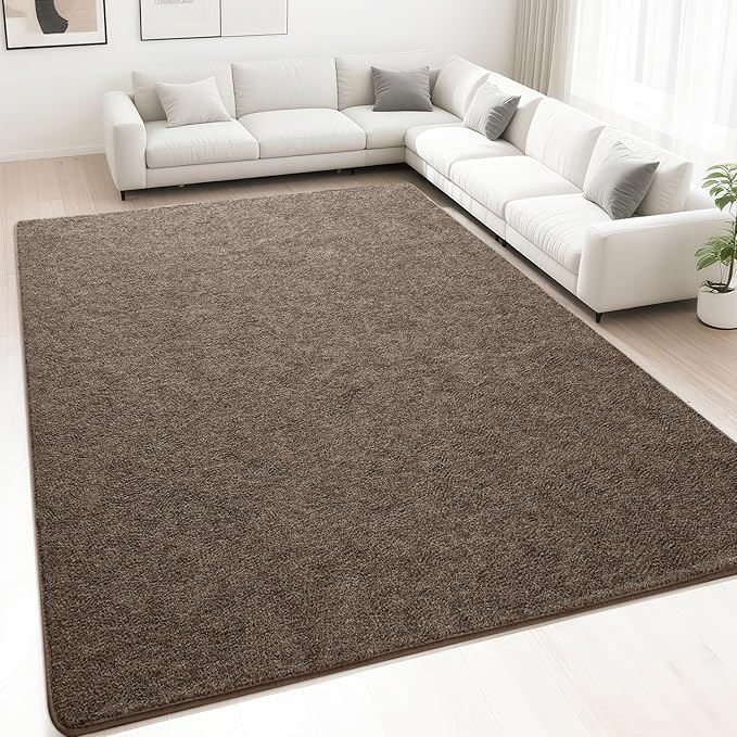 HQAYW 5x7 Area Rugs for Living Room Bedroom, Modern Thickened Memory Foam Soft Rug, Indoor Low Pile Minimalist Washable Non Slip Carpets for Kids Girls Boys Nursery Dorm Home Decor, Brown