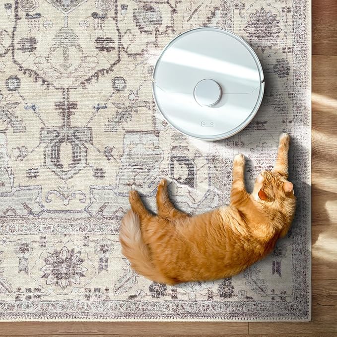 GLN Rugs Traditional Collection - Machine Washable Area Rug, Traditional Washable, Non Slip, Low Pile Chenille Rug, Living Room, Bedroom, Kitchen Rug (2' x 3' Cream/Gray)