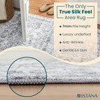 Istana 2x3 Area Rug - Light Grey Boho Rugs for Living Room 2x3 - Foldable Small Rugs for Bedroom - Stain Resistant Washable Rug Non Slip - Eco-Friendly Area Rugs Indoor