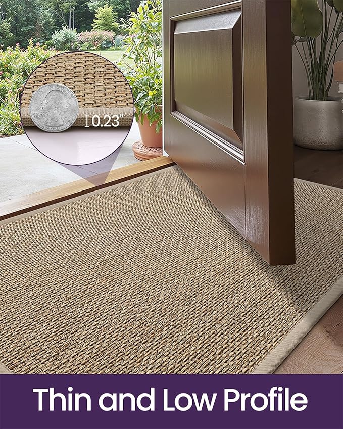 DEXI Ultra Thin Entryway Indoor Door Mat 32x48, Non Slip Rubber Backing Inside Entry Mat, Low Profile Easy Clean Dirt Trapper Doormat for Inside Entrance Patio, Beige