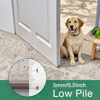 LUMI 4x6 Washable Low-Pile Area Rug for Living Room, Ultra Soft Vintage Rugs with TPE Non Slip Backing, Stain Resistant, Low Profile Carpet High Traffic for Bedroom, Dining Room