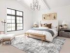 6x9 Area Rug Living Room Rugs - Washable Neutral Modern Abstract Soft Thin Rug Indoor Floor No Slip Rug Carpet for Bedroom Under Dining Table Home Office Decor - Grey