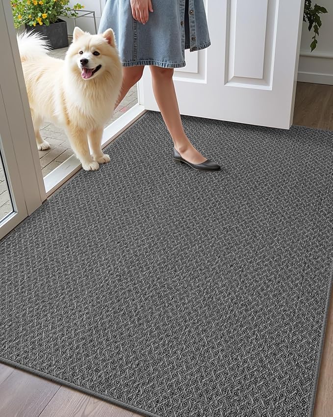 Color&Geometry Ultra Thin Indoor Door Mat Non Slip Rubber Backed Dirt Trapper 36"x56"(Rolled-up NO Creases), Rugs for Entryway, Front Door Mat Indoor Washable Low-Profile Entry Mat, Grey