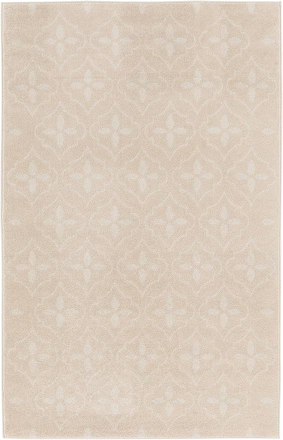 Nourison Home Nourison Essentials Ivory Beige 4' x 6' Area Rug - Easy Clean, Non Shedding, Bed Room, Living Room, Dining Room, Kitchen (4' x 6')