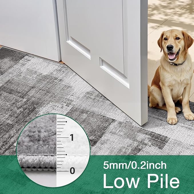 LUMI 5x8 Washable Area Rug for Living Room, Ultra Soft Modern Neutral Grey Rugs Non Slip with Rubber Backing, Low Profile, High Traffic, Stain Resistant Carpets, Ideal for Bedroom, Dining Room