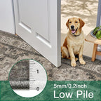 LUMI Washable Area Rug 4x6 for Living Room, Ultra Soft Stain Resistant Carpet with Non Slip Rubber Backing, Non-Shedding Low Pile Rugs for Bedroom, Dining Room, Indoor, Office