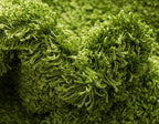 Unique Loom Solid Shag Collection Area Rug (4' 1" x 6' 1" Rectangle, Grass Green)