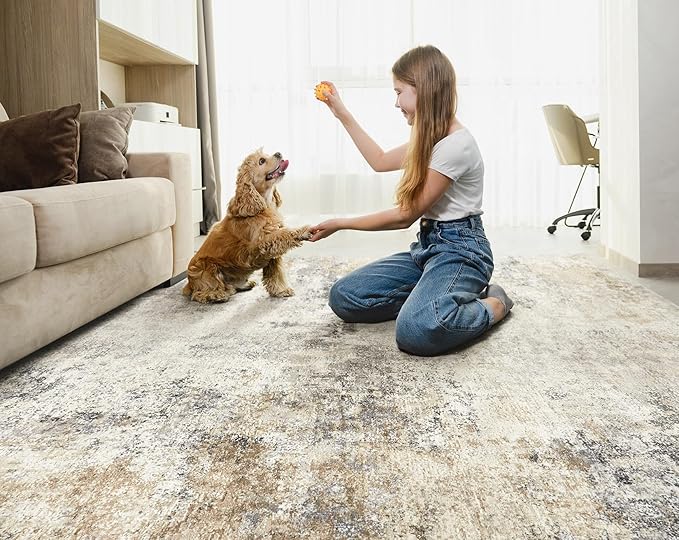 8x10 Area Rug Living Room Rugs - Washable Neutral Modern Abstract Soft Thin Large Rug Indoor Floor No Slip Rug Carpet for Bedroom Under Dining Table Home Office Decor - Golden Grey