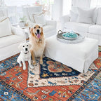 Lahome Boho Machine Washable Rugs - 5x7 Area Rugs for Living Room Non-Slip Oriental Throw Bedroom Rug Ultra-Thin Large Office Dining Room Rug Accent Floor Carpet for Kitchen Laundry Room