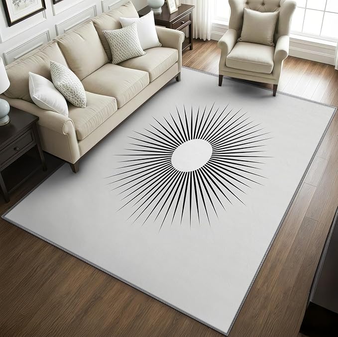 Mid Century Rugs for Living Room -Minimalist Sun Rug, 4x5 ft, Black and White Area Rug, Modern Abstract Washable Rugs for Living Room Bedroom, Optical Illusion Home Decor & Gifts