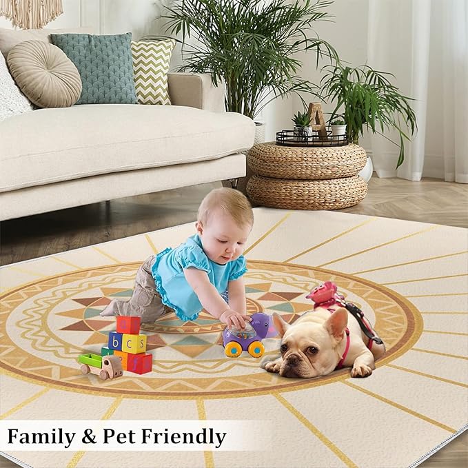 Boho Sun Area Rugs 5x8ft, Minimalist Line Living Room Carpet, Geometric Solar Decorative Carpet Protect Floor for Bedroom Men Office Hardwood Floors