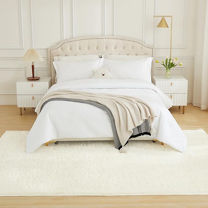 Andency Cream Soft Area Rugs for Living Room Bedroom, 4x6 Fluffy Shaggy Bedside Rug, Non-Slip Large Shag Fuzzy Plush Carpets for Bedroom Kids Dorm Nursery Home Decor Aesthetic
