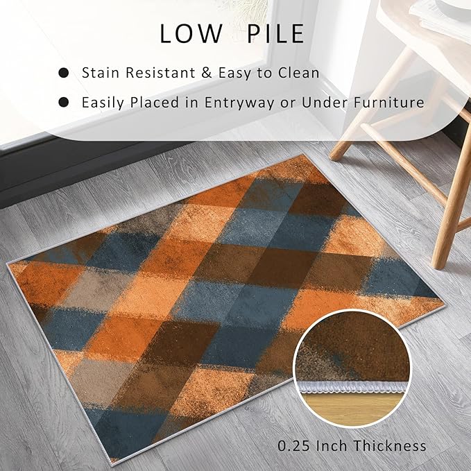 Checkered Geometric Rug, Washable 5x8 Rug for Living Room, Modern Abstract Patterned Indoor Carpet, Checkered Geometric Decor for Home, Bedroom, Soft Non Slip Thin Design FER49