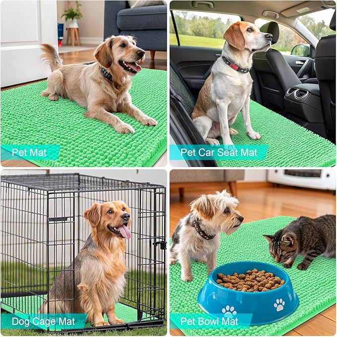 OLANLY Dog Door Mat for Muddy Paws 24x16, Absorbs Moisture and Dirt, Absorbent Non-Slip Washable Doormat, Quick Dry Chenille Mud Mat for Dogs, Entry Indoor Entryway Carpet for Inside Floor, Mint Green