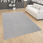 Paco Home Solid Area Rug in Silver Modern Plain Design, Size: 4' x 5'7"