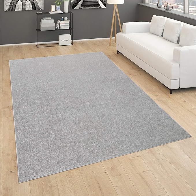Paco Home Solid Area Rug in Silver Modern Plain Design, Size: 2' x 3'3"