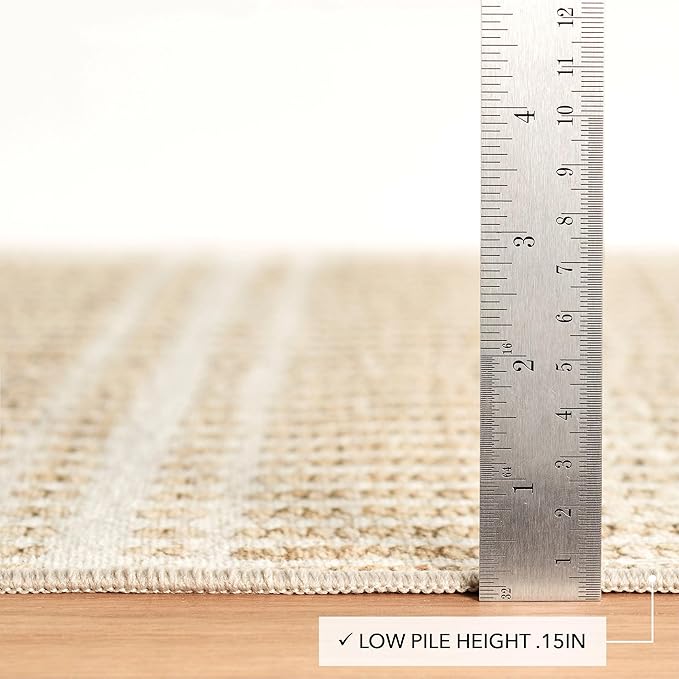 Dash and Albert Arbor Machine Washable Area Rug - 4' x 6' Neutral Stripe Washable Accent Rug Stain-Resistant, Anti-Slip, High Traffic Kitchen, Hallway, Mudroom