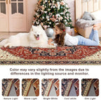 4x6 Orange Red Area Rug for Living Room, Machine Washable Rugs with Non-Slip Backing for Bedroom, Vintage Medallion Carpet Kitchen Laundry Kids Room Decor