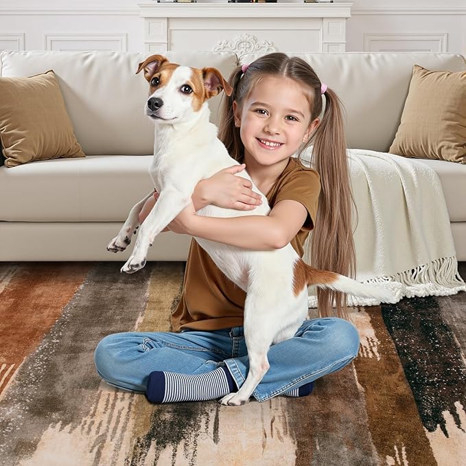 Ciicool Abstract Area Rug Indoor, 3x5 Washable Entryway Rug, Modern Soft Throw Entry Rug with Non-Slip Backing for Bedroom Living Room Entrance Kitchen, Low-Pile Floor Carpet Doormat Brown Grey