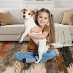 Ciicool Abstract Area Rug Indoor, 3x5 Washable Entryway Rug, Modern Soft Throw Entry Rug with Non-Slip Backing for Bedroom Living Room Entrance Kitchen, Low-Pile Floor Carpet Doormat Brown Grey