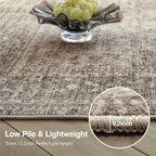 FMFUNCTEX 5x7 Washable Area Rug Neutral Vintage Taupe Non Slip Low Pile Traditional Indoor Carpet for Living Room Bedroom Soft Retro Floral Mat Throw Rug for Dining Office Kitchen Dorm Entryway