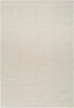 Nourison Home Nordic Ivory 4' x 6' Area Rug - Easy Clean, Non Shedding, Bed Room, Living Room, Dining Room, Kitchen (4' x 6')
