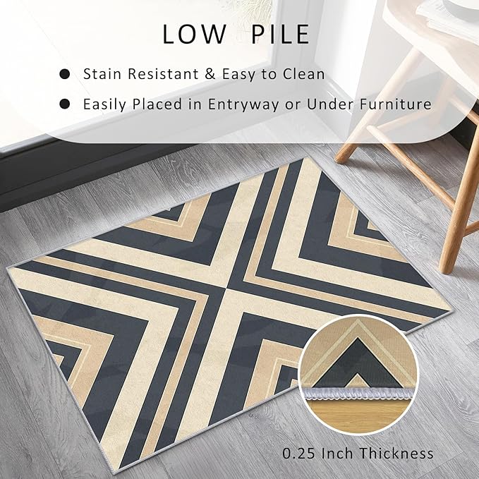 Modern Geometric Rug Small, Washable 2x3 Throw Rug for Entryway, Herringbone Chevron Patterned Indoor Door Mat, Modern Geometric Decor for Home, Bedroom, Soft Non Slip Thin Design FER72