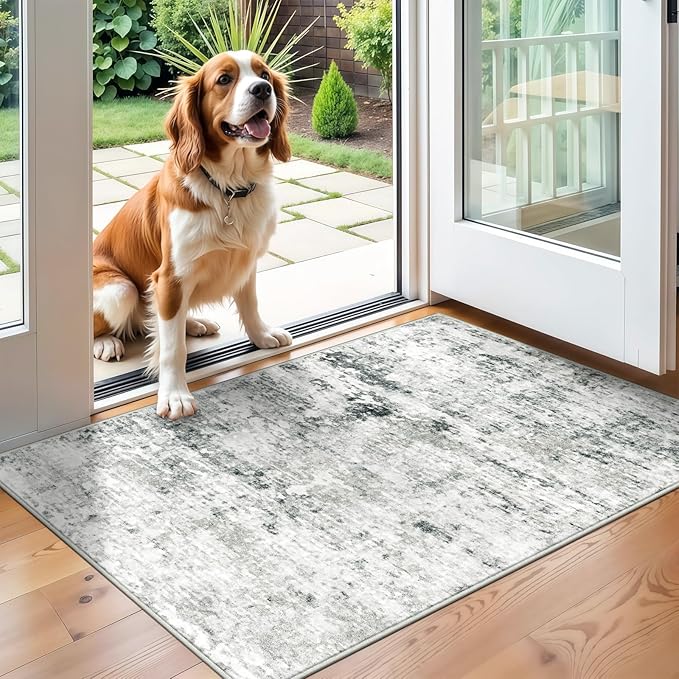 2x3 Machine Washable Area Rug for Entryway, Grey Modern Vintage Abstract Rug Non-Slip Low Pile Soft Faux Wool Small Carpet, Kids and Pets Friendly for Bedroom Kitchen Hallway Home Decor Rug