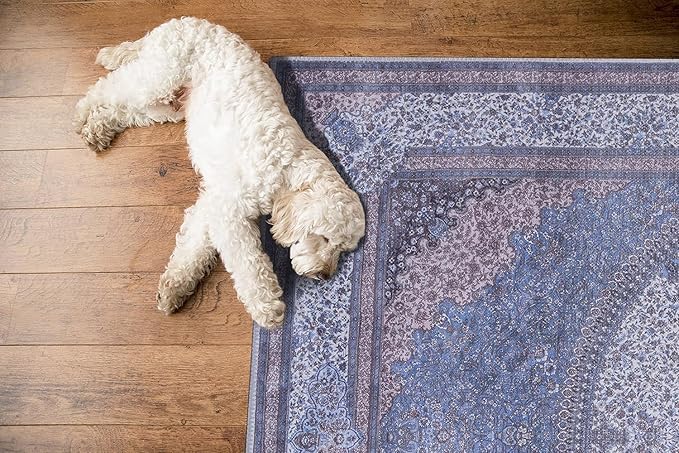 GLN Rugs Traditional Collection - Machine Washable Area Rug, Traditional Washable, Non Slip, Low Pile Chenille Rug, Living Room, Bedroom, Kitchen Rug (3' x 5' Navy/Off White)