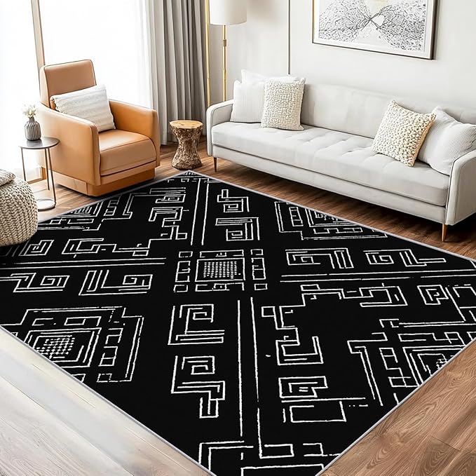 Geometric Rug, Washable 5x6 Rug for Living Room, Black and White Patterned Indoor Carpet, Modern Geometric Decor for Home, Bedroom, Soft Non Slip Thin Design FER17