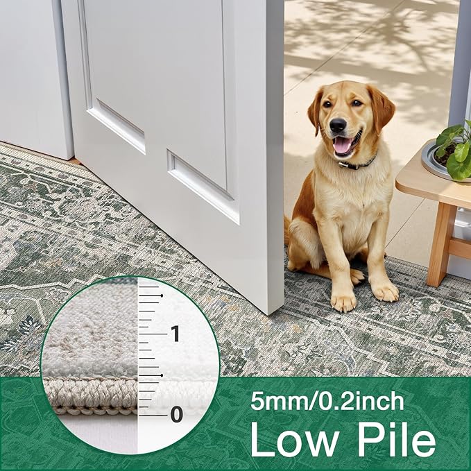 LUMI Washable Area Rug 8x10 for Living Room, Ultra Soft Stain Resistant Carpet with Non Slip Rubber Backing, Non-Shedding Low Pile Rugs for Bedroom, Dining Room, Indoor, Office