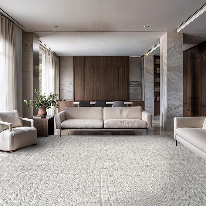 Modern Micro Loop Indoor Area Rugs for Living Room Bedroom Kitchen Geometric Pebble White 6x9 Luxury Durable Low and High Pile Non-Shedding Stain Resistant Soft Area Carpet 6 x 9
