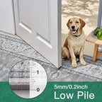 LUMI Washable Area Rug for Living Room, 8x12 Ultra Soft Traditional Vintage Rugs Non Slip with Rubber Backing, Low Profile, High Traffic, Stain Resistant Carpets, Ideal for Bedroom, Dining Room