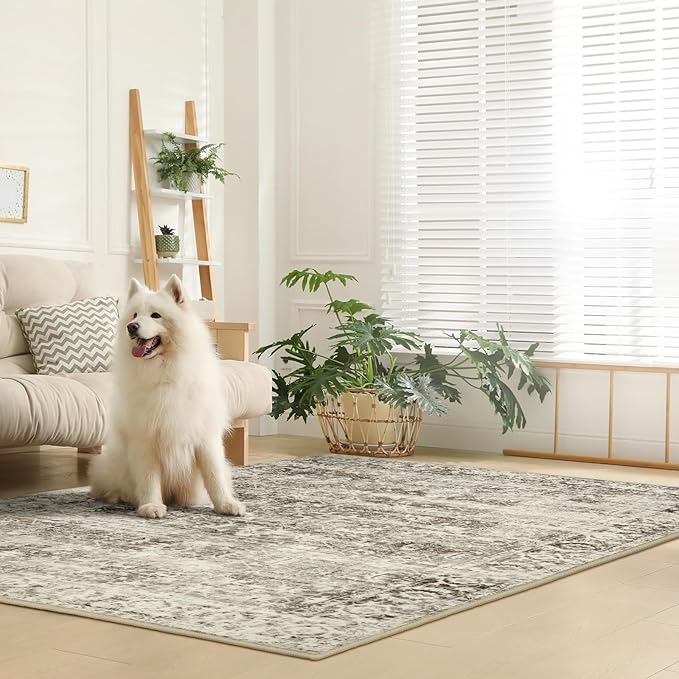 Lahome Washable Rugs 5x7 Boho Living Room Area Rug,Soft Throw Bedroom Area Rug,Retro Distressed Non-Slip Low-Pile Accent Rug Indoor Carpet for Entryway Office Home Decor(5 x 7,Beige)