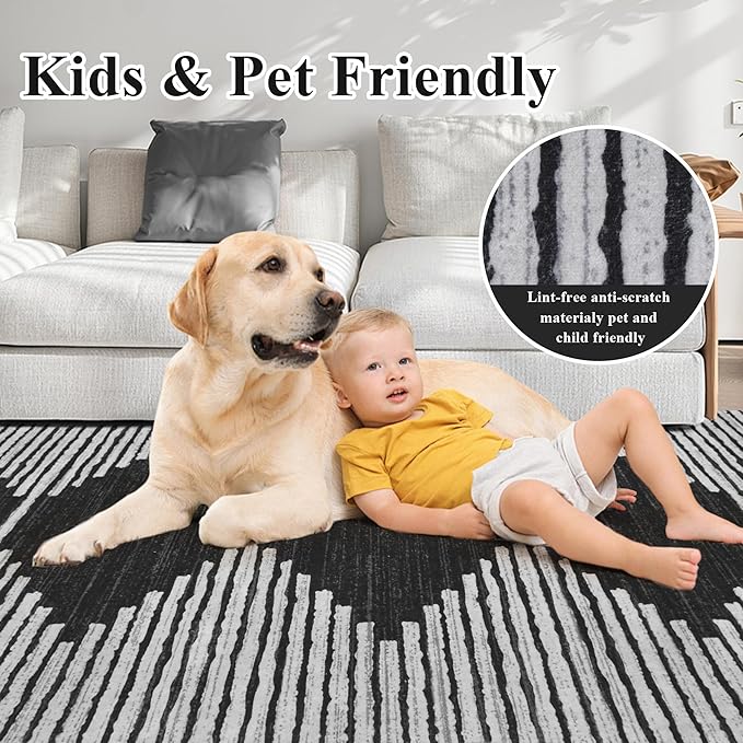 HelloTree Area Rug 4x6 Geometric Rug,Washable Modern Neutral Stain Resistant Indoor Carpet Boho Living Room Moroccan Rugs Fluffy Rug for Living Room Bedside Room Decor for Family-Black