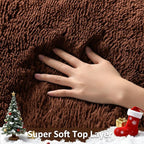 Ophanie Brown Rugs for Living Room Bedroom, 5x8 Fluffy Fuzzy Furry Carpet, Plush Soft Shaggy Bedside Indoor Floor Area Rug for Kids Girls Boys Baby Teen Dorm Nursery Home Decor Aesthetic