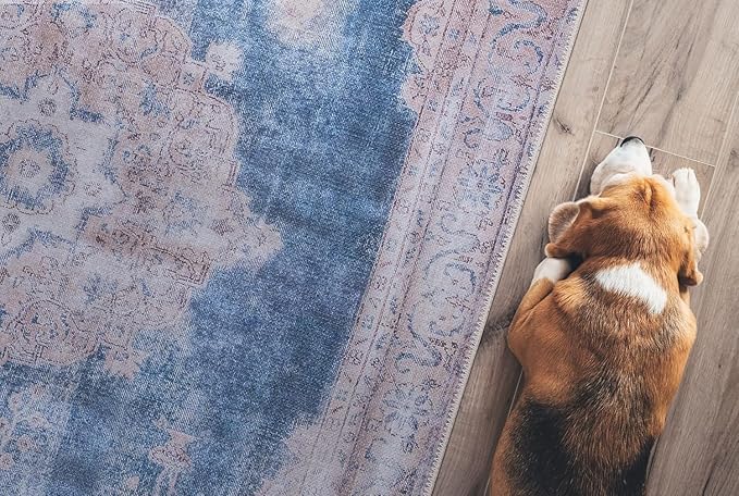 GLN Rugs Traditional Collection - Machine Washable Area Rug, Traditional Washable, Non Slip, Low Pile Chenille Rug, Living Room, Bedroom, Kitchen Rug (2' x 3' Cream/Navy)