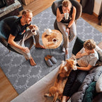 Amearea Fluffy Indoor Area Rug, Soft Trellis Moroccan Rugs for Bedroom, Shag Modern Area Rug for Living Room Kids Room Nursery, Easy Clean, Home Decor Low Pile Carpet, Light Gray 5x7 Feet